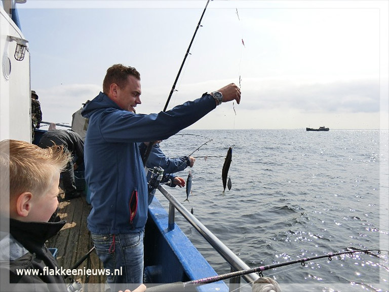 Dan Viool volwassene Zeesportvisserij vanuit Stellendam | FlakkeeNieuws Goeree-Overflakkee