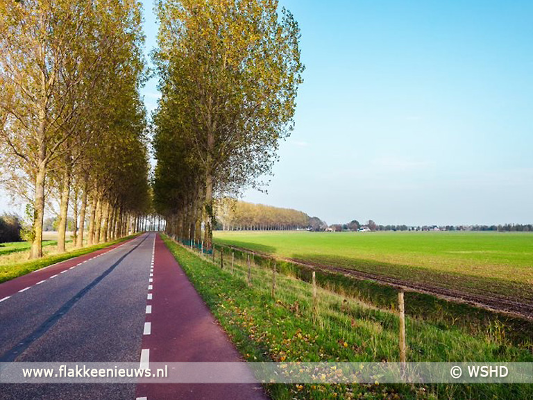 Werkafspraken waterschap voor behoud bomen - FlakkeeNieuws Goeree-Overflakkee