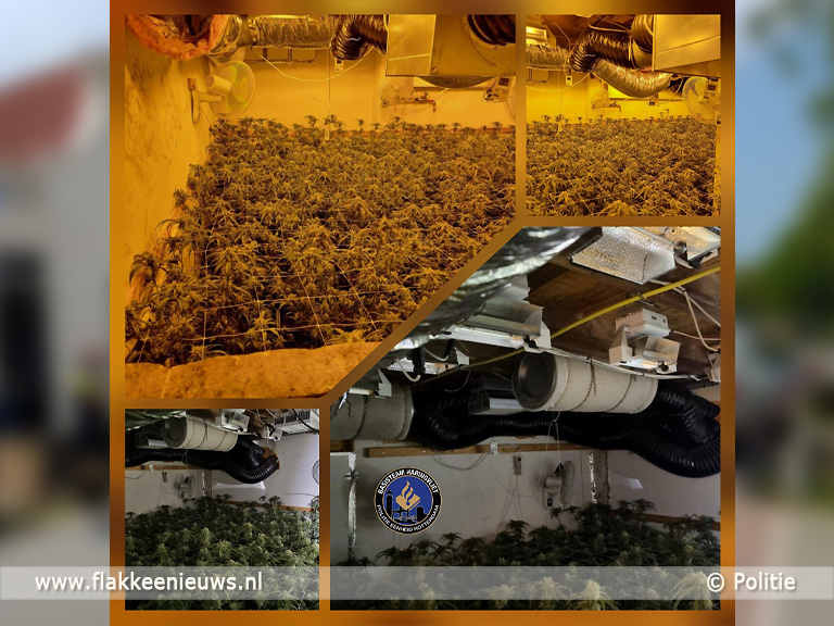 Foto behorende bij Hennepkwekerij aangetroffen in Herkingen