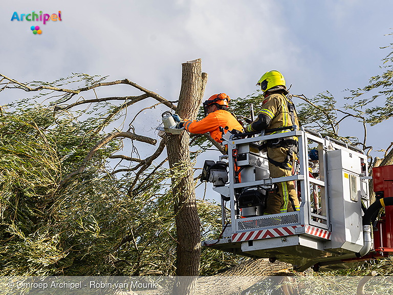 Foto behorende bij Harde wind zorgt voor afgebroken bomen