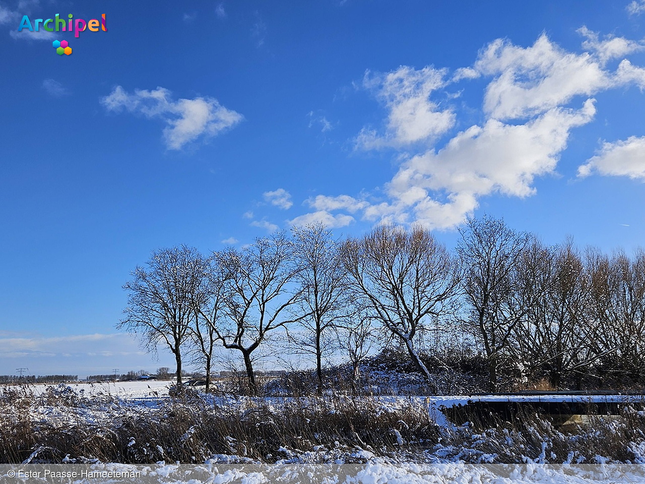 Foto behorende bij Wit begin van de dag eindigt in meerdere verkeersincidenten