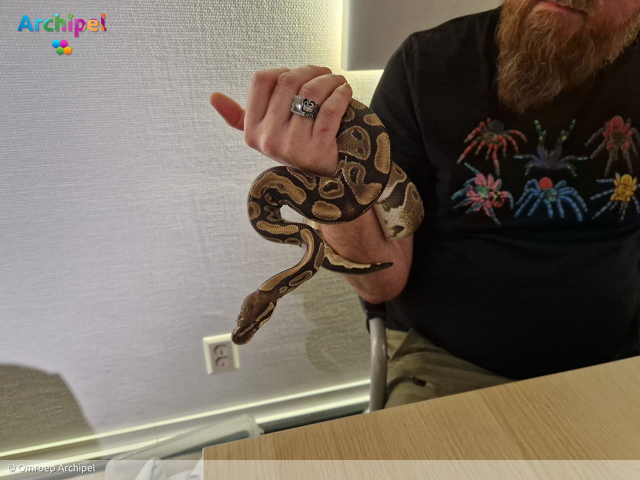 Foto behorende bij Fascinatie voor reptielen en spinachtigen: hobbyist Jack Westhoeve deelt zijn passie