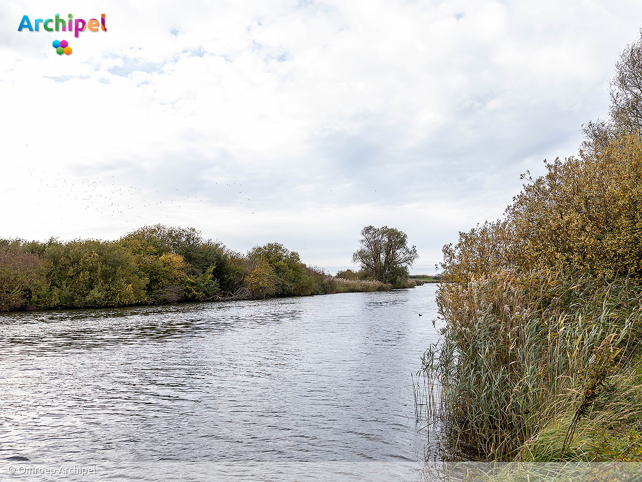 Informatieavond over Zuiderdiep: terug naar brak water of zoet behouden? - FlakkeeNieuws Goeree-Overflakkee