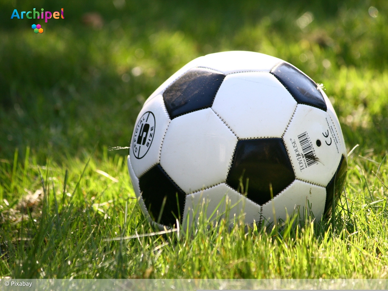 WFB overtuigt ondanks personele puzzel en houdt zicht op topklassering  - Sport Goeree-Overflakkee