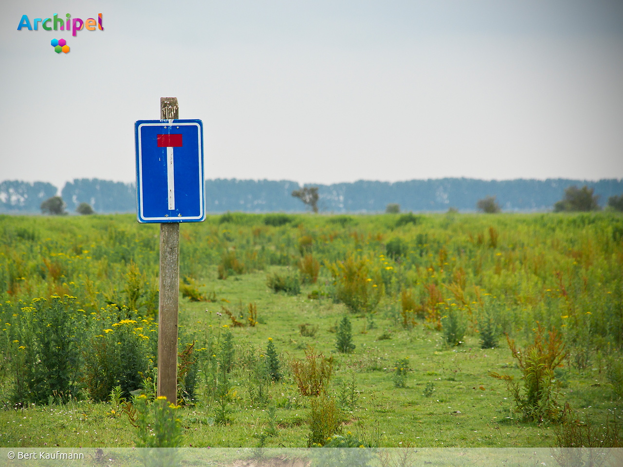 Proef met veerverbinding tussen Middelharnis en Tiengemeten krijgt geen vervolg - FlakkeeNieuws Goeree-Overflakkee