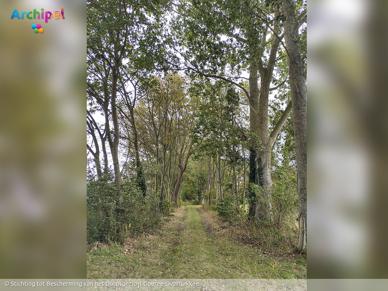 Foto behorende bij Eeuwenoud pad zorgt opnieuw voor ophef in Ouddorp