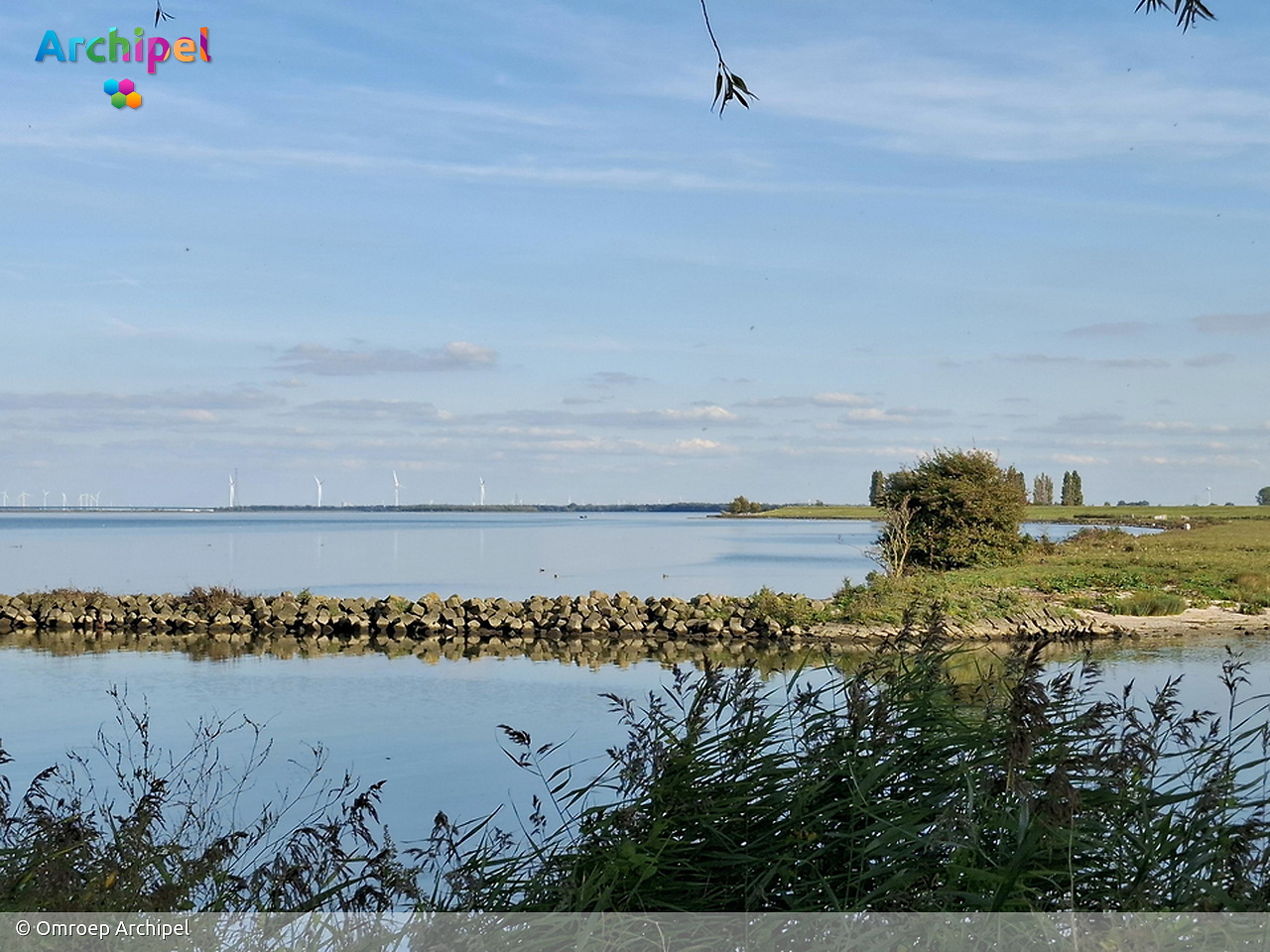 Politiek op donderdag: Waterbeheer en omgevingsbeleid - FlakkeeNieuws Goeree-Overflakkee