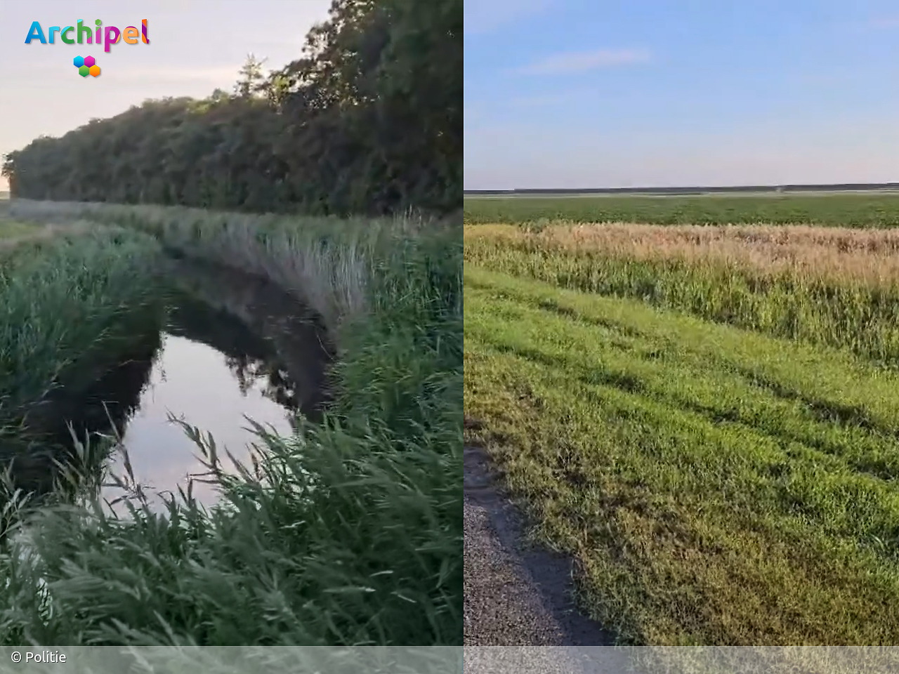 Foto behorende bij Auto komt na ongeval tussen bomen tot stilstand