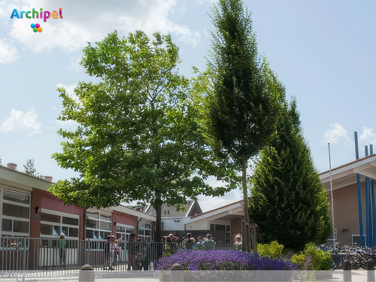 Defect koelsysteem leidt tot tropenrooster op basisschool Dirksland - FlakkeeNieuws Goeree-Overflakkee
