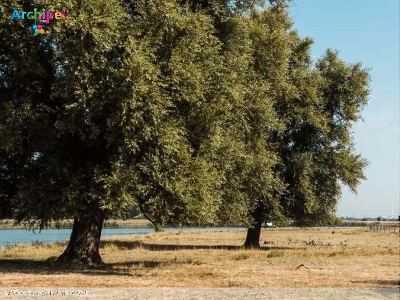 Overdag verbod op wateronttrekking op de kop van Goeree - FlakkeeNieuws Goeree-Overflakkee