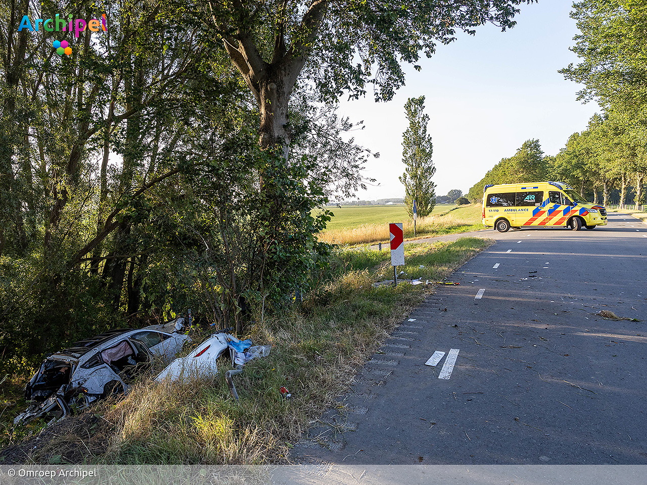 Foto behorende bij Automobilist aangehouden na botsing tegen boom