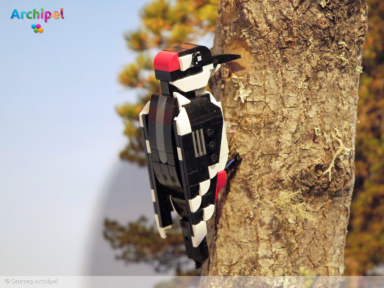 Expositie brengt vogelkunst van twee LEGO-kunstenaars samen in Ouddorp - FlakkeeNieuws Goeree-Overflakkee