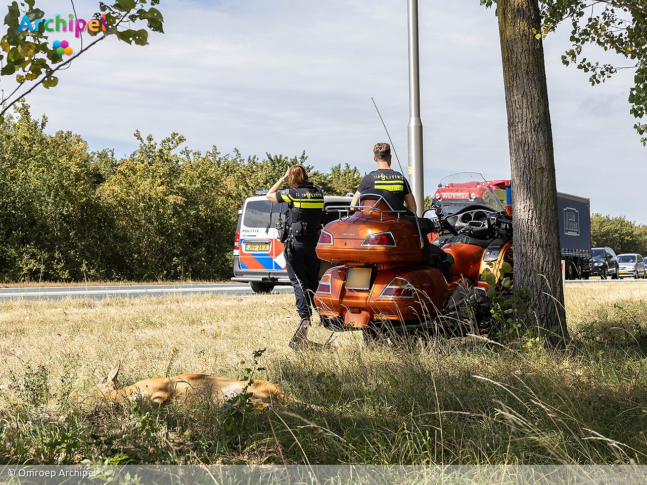 Foto behorende bij Motorrijder gewond na aanrijding met ree op N59 bij Oude-Tonge