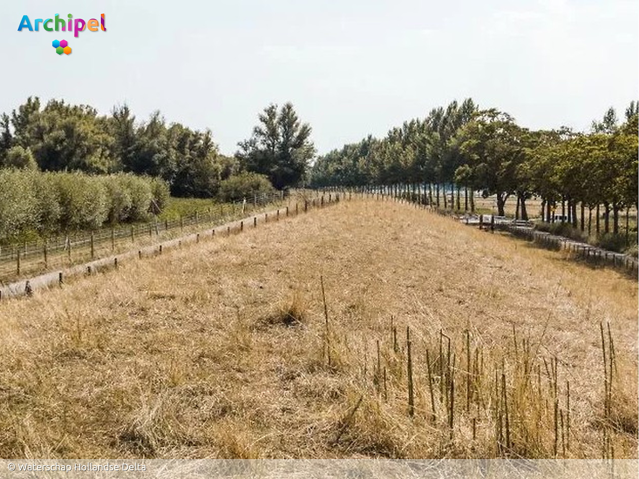 Waterschap vraagt inwoners en agrariërs zuinig om te gaan met water - FlakkeeNieuws Goeree-Overflakkee