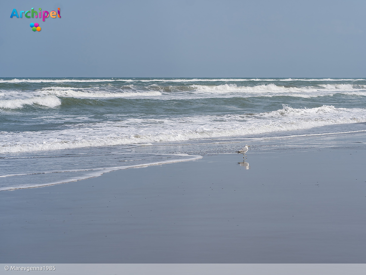 Noordzee kampt met hittegolf en breekt warmterecord - FlakkeeNieuws Goeree-Overflakkee
