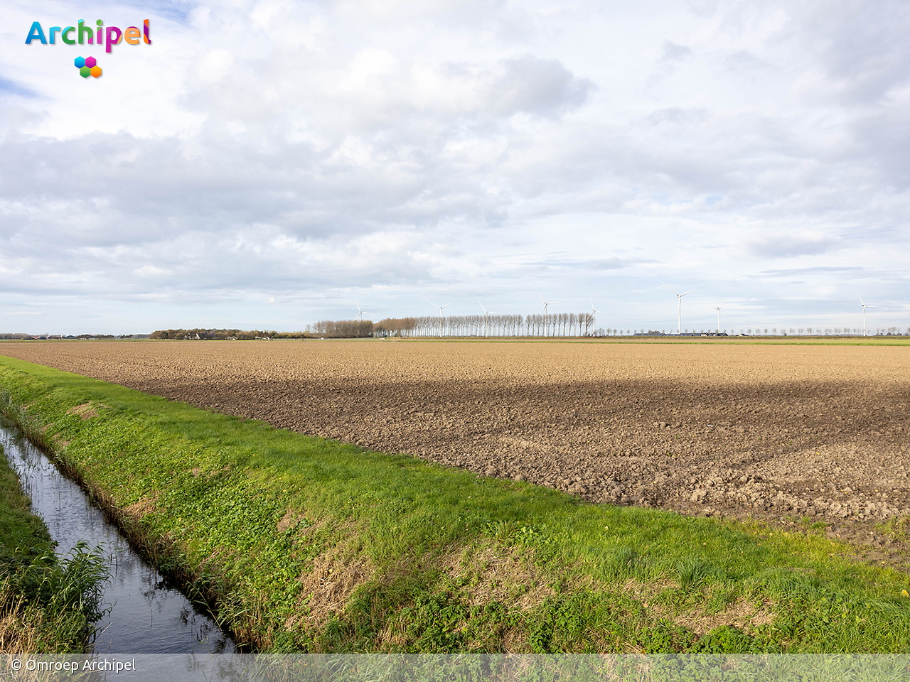Politiek op donderdag: busuitval, strandbezoek, waterkwaliteit en leefomgeving - FlakkeeNieuws Goeree-Overflakkee