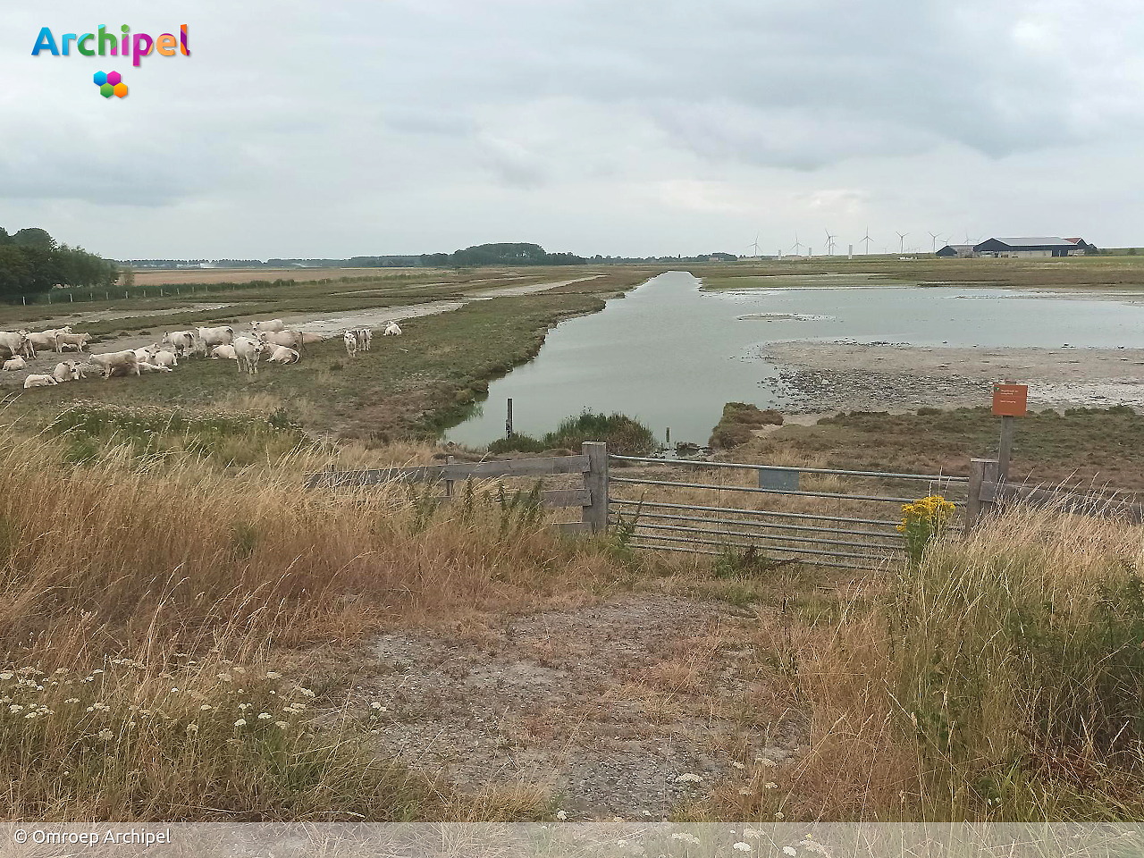 Werkzaamheden zorgen voor hoger waterpeil in natuurgebied bij Herkingen - FlakkeeNieuws Goeree-Overflakkee