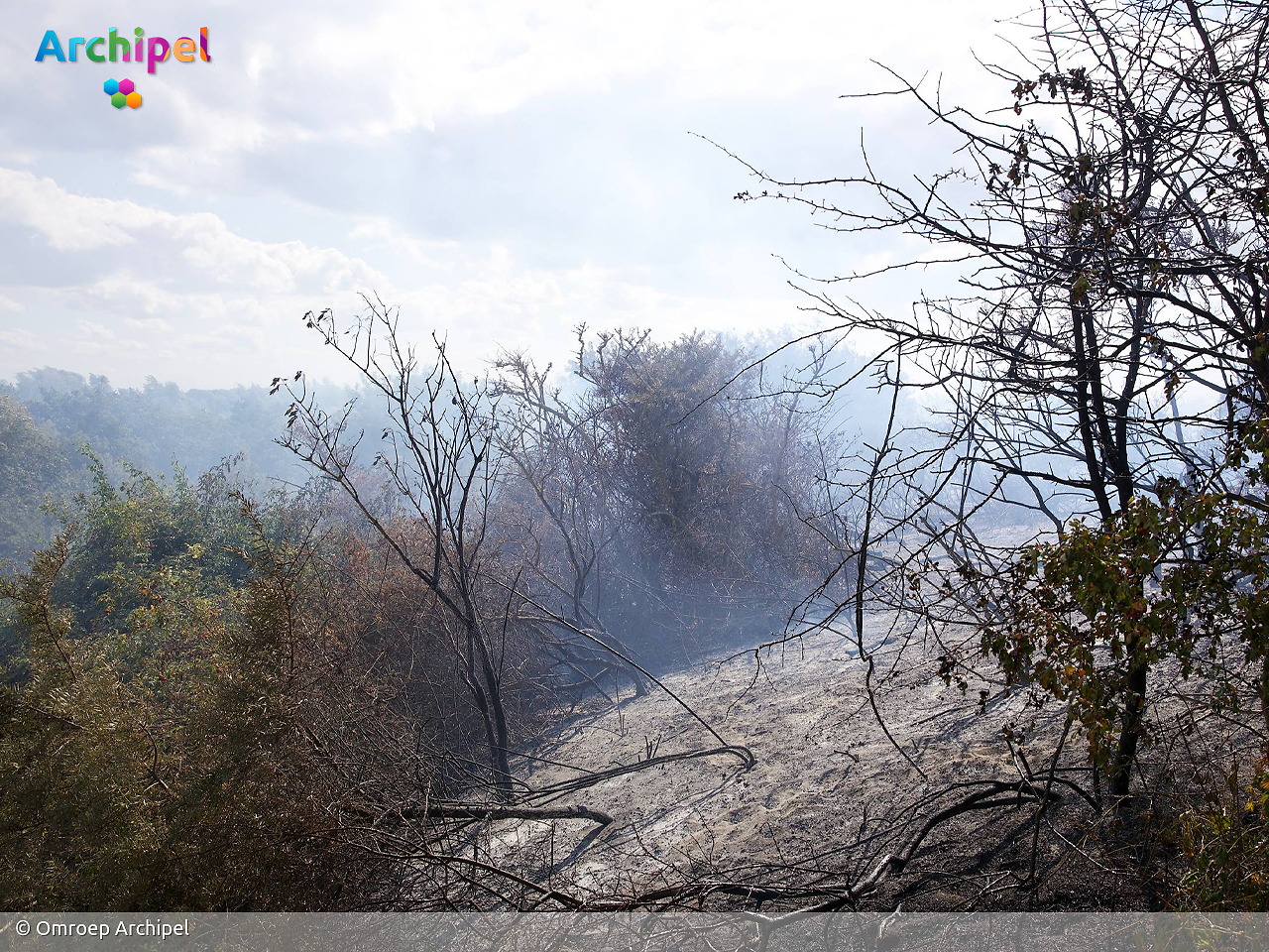 Foto behorende bij Opnieuw natuurbrand in duingebied Ouddorp, inzet opgeschaald naar GRIP 2