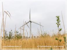 Foto behorende bij Windpark Battenoert betaalt € 70.000,- rente Foto behorende bij Windpark Battenoert betaalt € 70.000,- rente