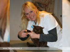 Foto behorende bij Den Bommel heeft nieuwe dierenartspraktijk Foto behorende bij Den Bommel heeft nieuwe dierenartspraktijk