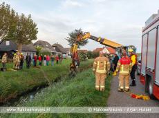 Foto behorende bij Grote hulpverlening voor ongeval met paard Foto behorende bij Grote hulpverlening voor ongeval met paard