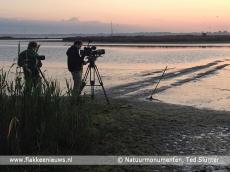Foto Foto
