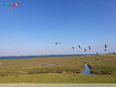 Lokale partijen in actie, waterschapsbelasting en kritiek op ganzenbeleid