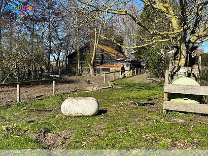 Nasleep crash Nieuwe-Tonge: tuin vol glas, pony's noodgedwongen op stal