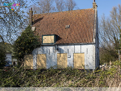 SGP: niet optreden tegen illegale feesten geeft verkeerd signaal