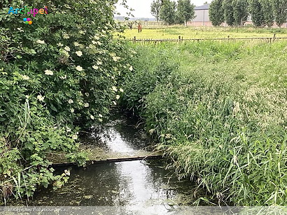 Het waterschap controleert op overhangende takken langs sloten en vaarten