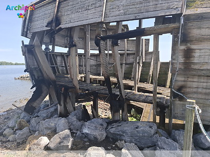 Brand in beschermd vogelbroedgebied Haringvliet mogelijk aangestoken