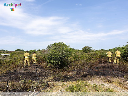 Snelle inzet voorkomt uitbreiding natuurbrand in Ouddorp